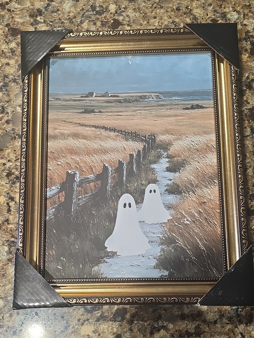 New Framed Coastal Field Wall Art with White Ghost Accents